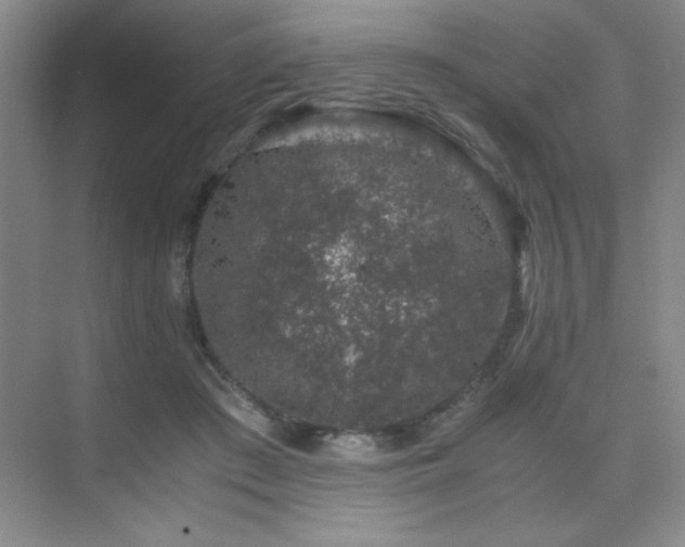 X0000076070409200609221201