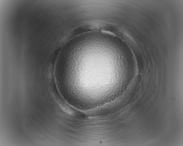 X0000076070413200609221201