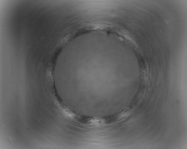 X0000076070415200609221201