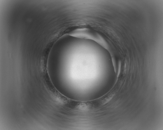 X0000076070416200609221201