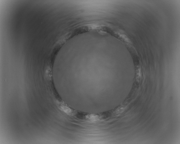 X0000076070419200609221201