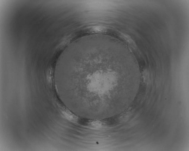 X0000076070423200609221201