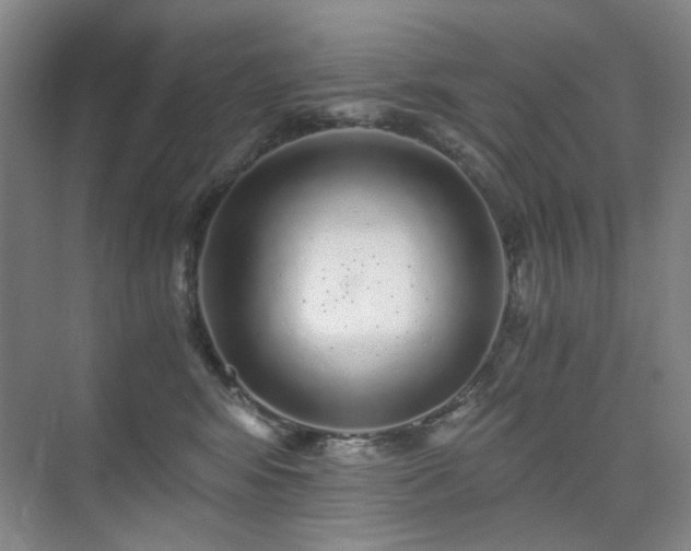 X0000076070424200609221201