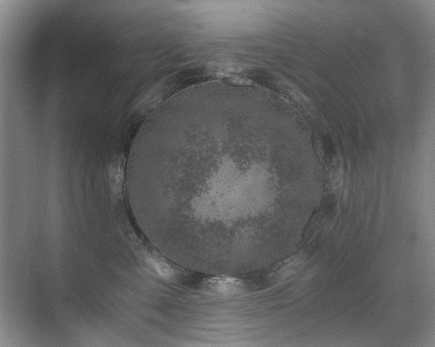 X0000076070427200609221201