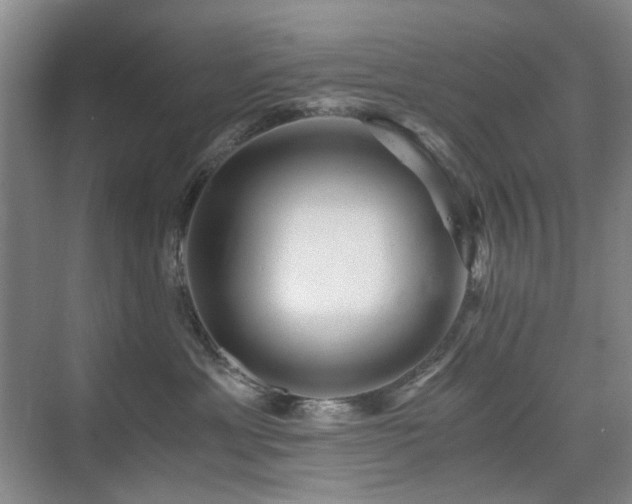 X0000076070429200609221201