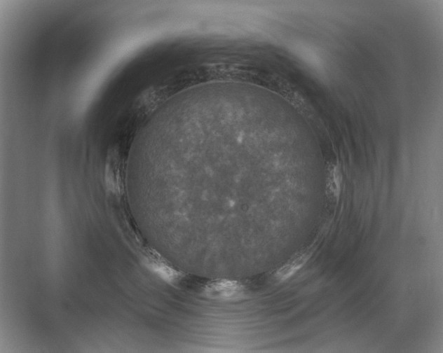 X0000076070431200609221201