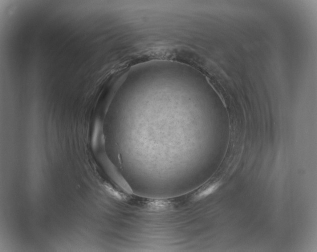 X0000076070432200609221201