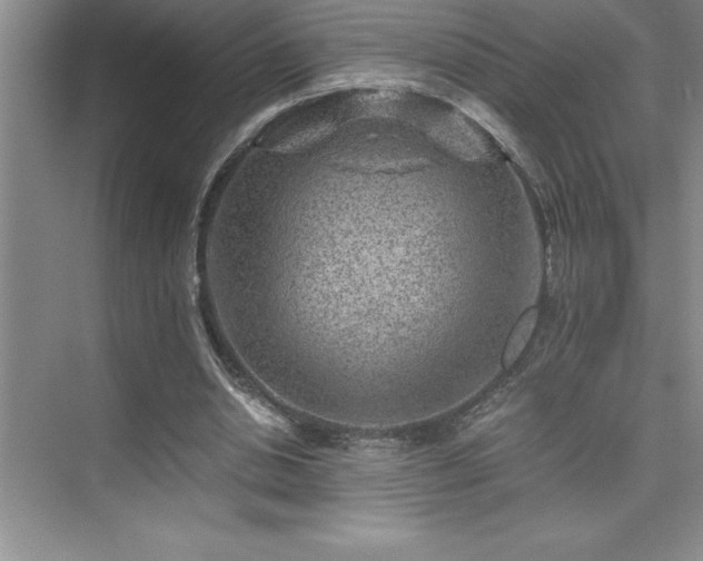 X0000076070438200609221200