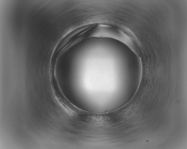 X0000076070439200609221200