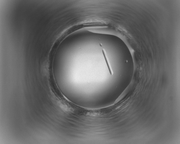 X0000076070440200609221200