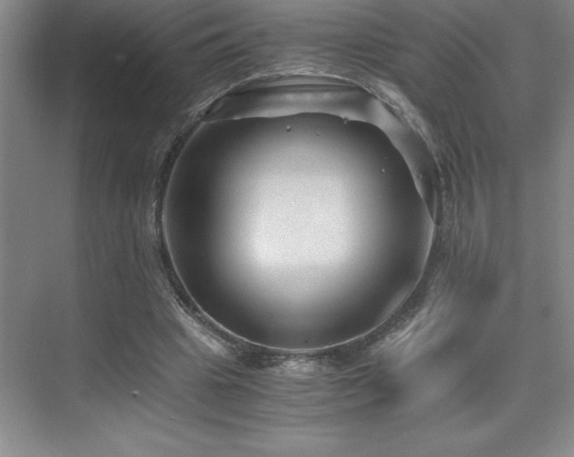 X0000076070441200609221200