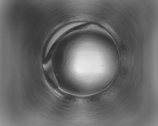 X0000076070442200609221200