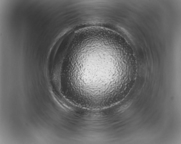 X0000076070443200609221200