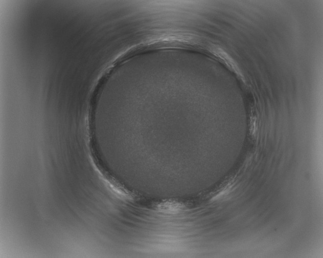 X0000076070444200609221200