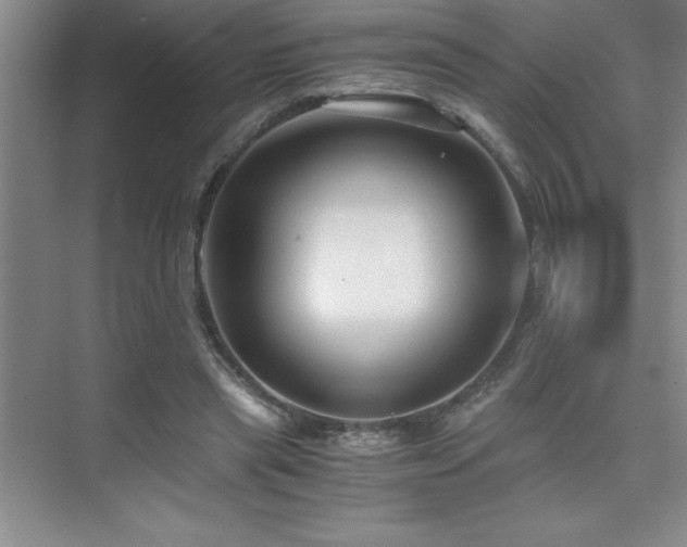 X0000076070445200609221200