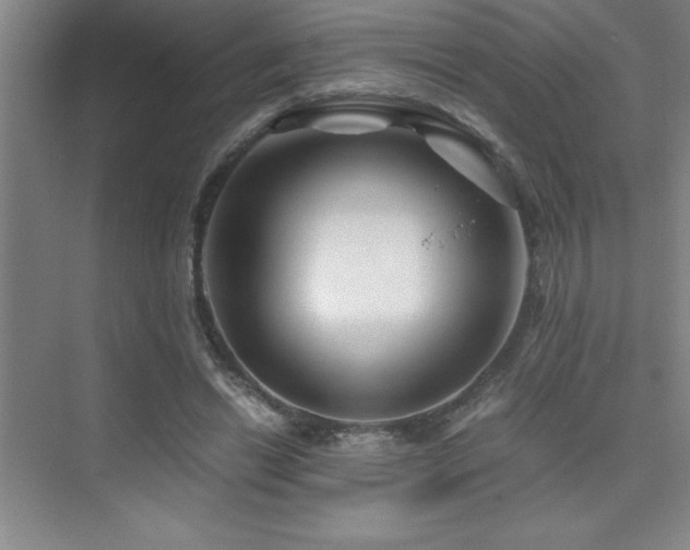 X0000076070446200609221200