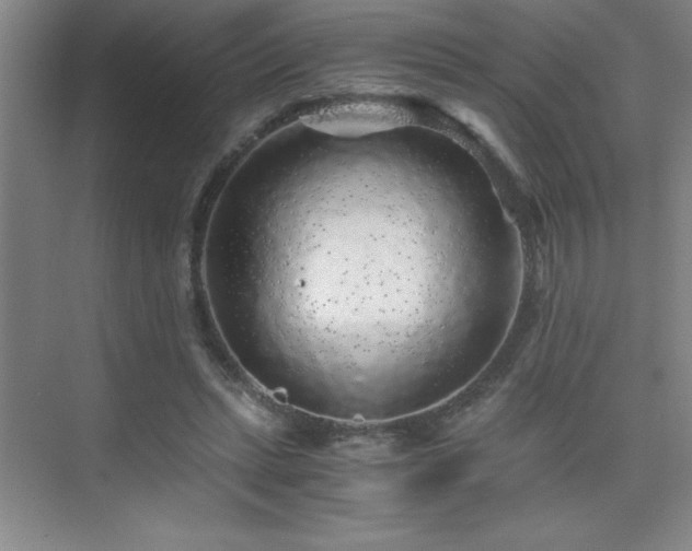 X0000076070447200609221200