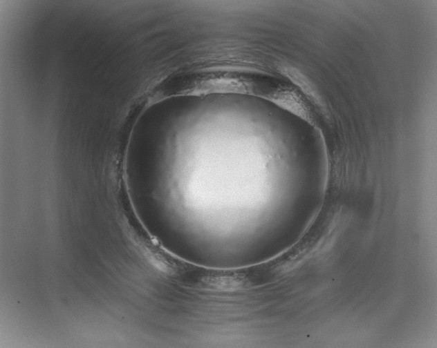 X0000076070449200609221201