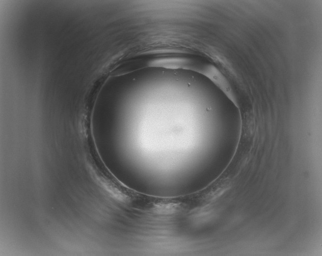 X0000076070450200609221201