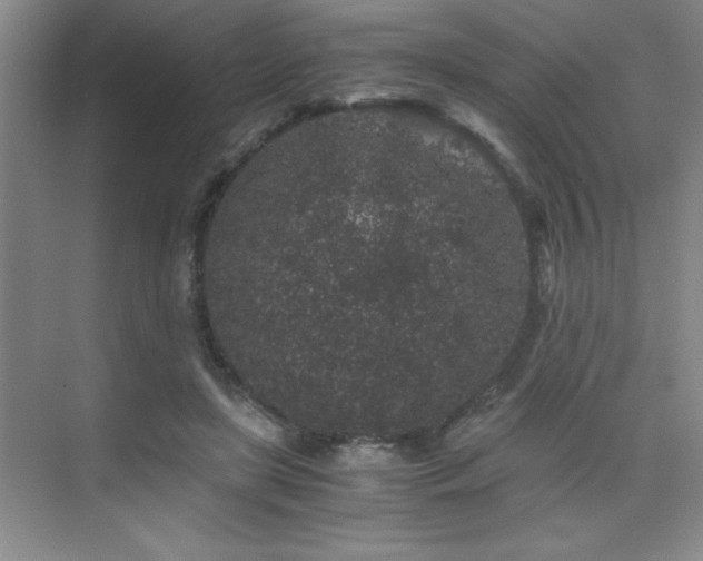 X0000076070451200609221201