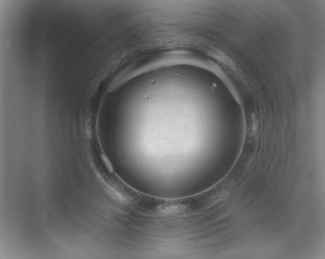 X0000076070452200609221201