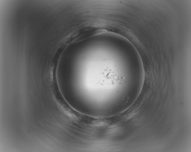 X0000076070454200609221201