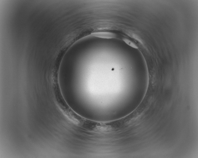 X0000076070455200609221201