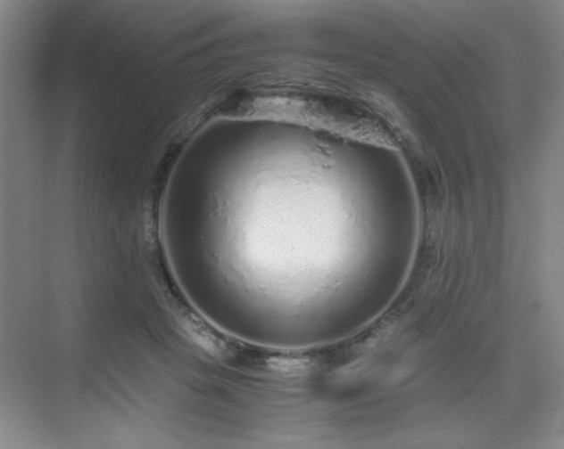 X0000076070457200609221201