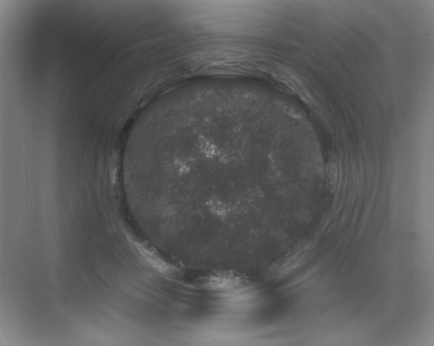 X0000076070458200609221201