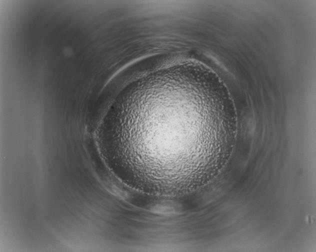 X0000076070459200609221201