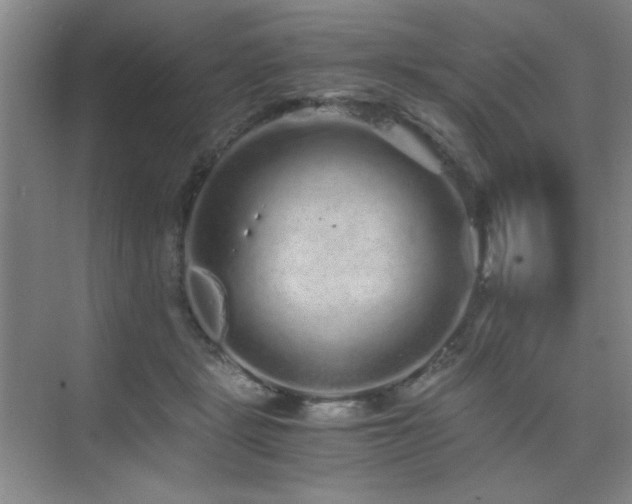 X0000076070461200609221201