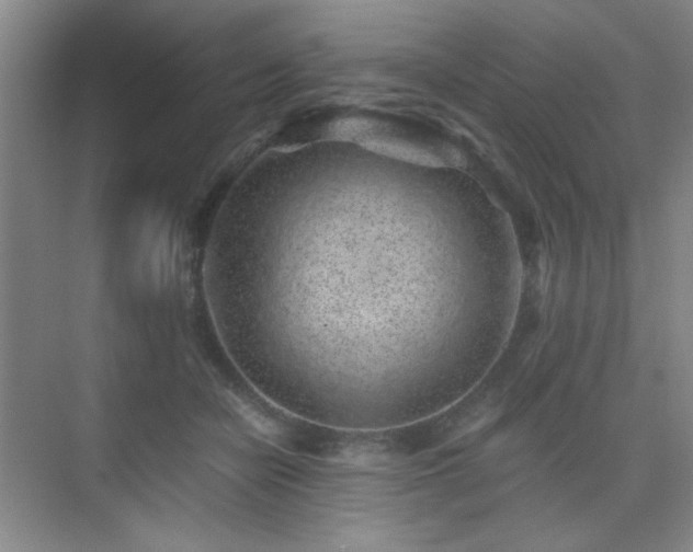 X0000076070462200609221201