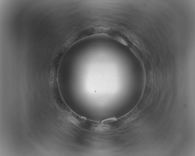 X0000076070463200609221201