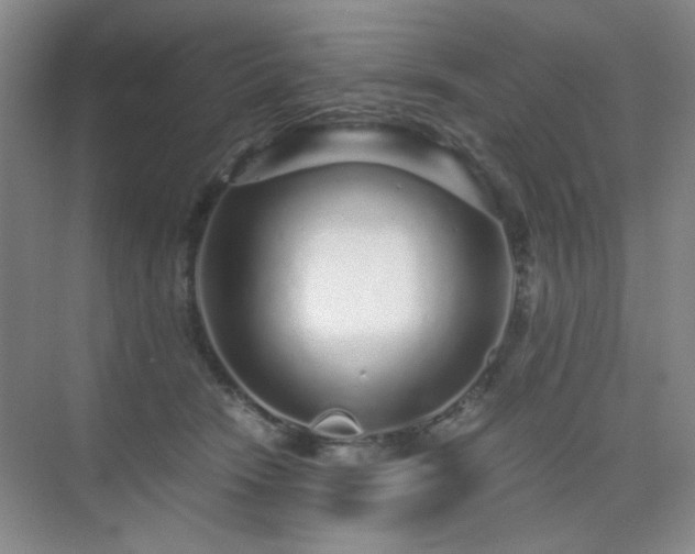 X0000076070466200609221201