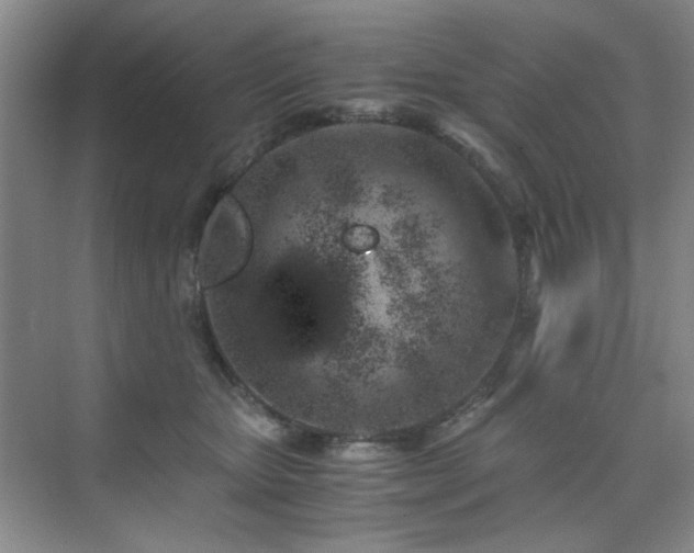 X0000076070467200609221201