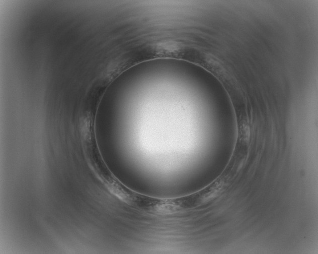 X0000076070468200609221201