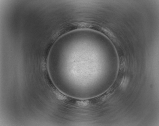 X0000076070469200609221201