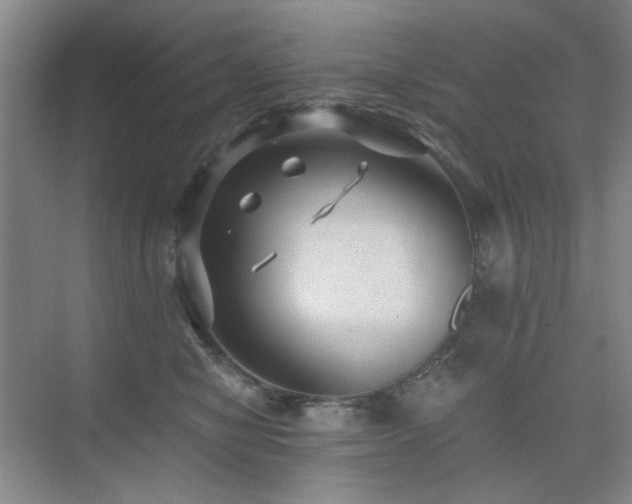 X0000076070470200609221201