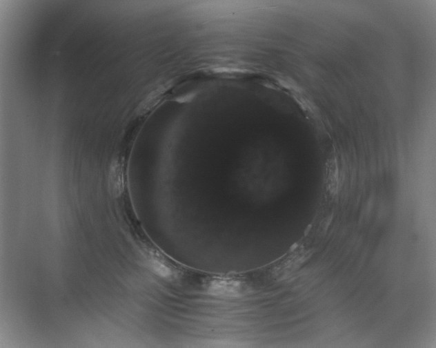 X0000076070471200609221201