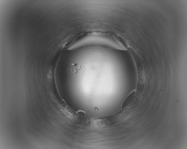 X0000076070472200609221201