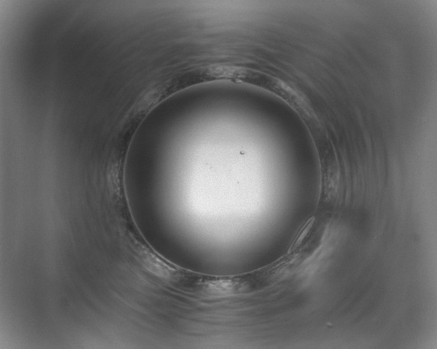 X0000076070473200609221201