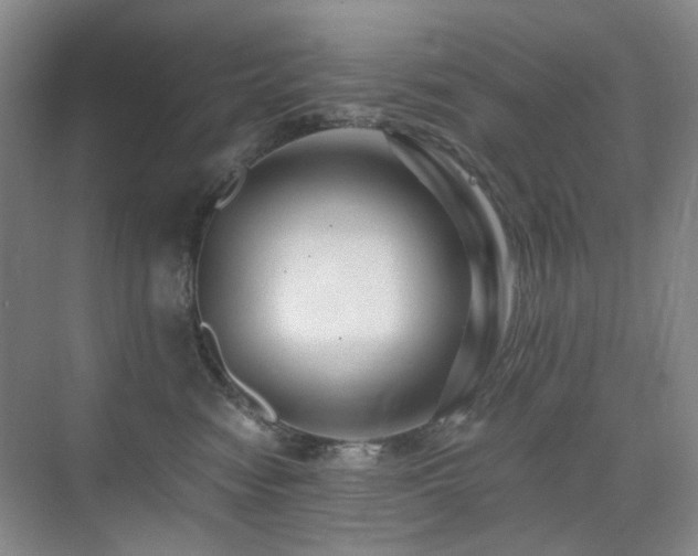 X0000076070474200609221201