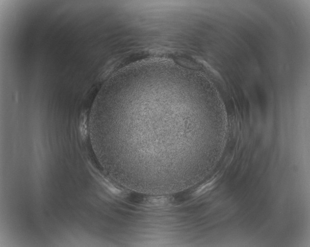 X0000076070479200609221201