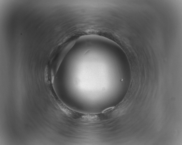 X0000076070480200609221201