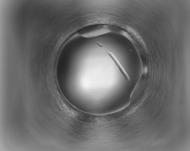 X0000076070481200609221200