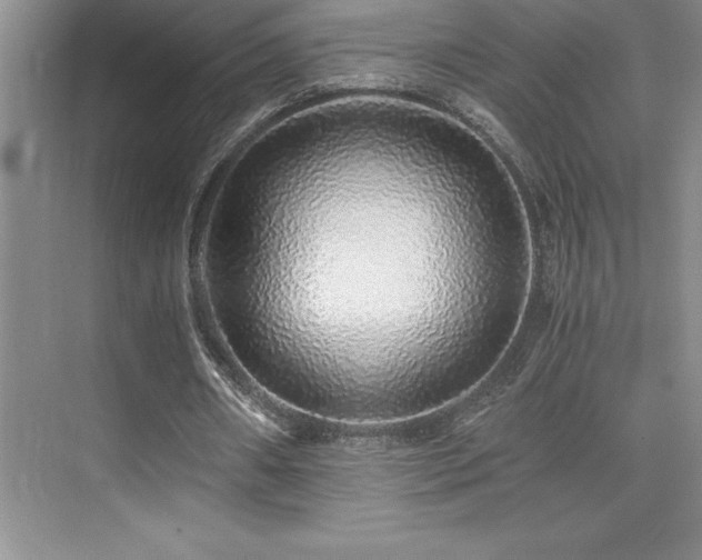 X0000076070482200609221200