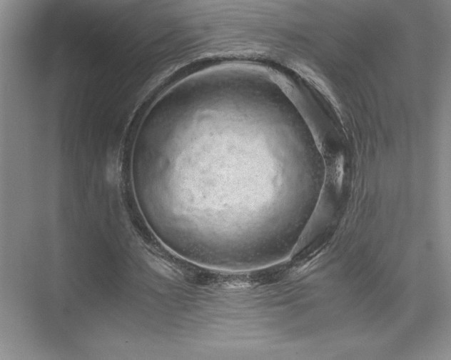 X0000076070483200609221200