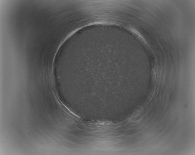 X0000076070484200609221200