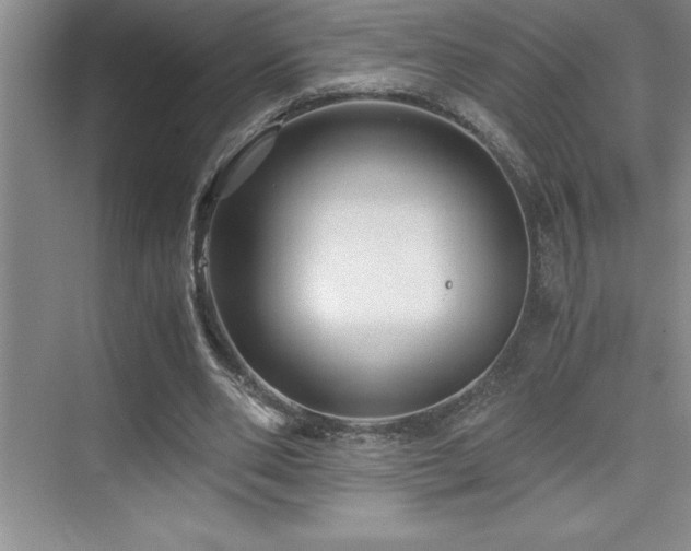 X0000076070486200609221200