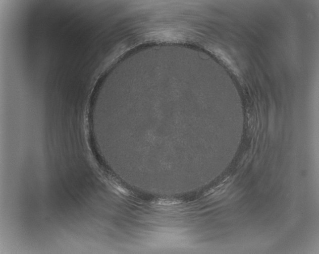 X0000076070487200609221200